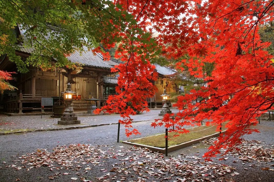 ⛩️ 현 고야산 용화사(이마코야산 류게지) 이미지 3